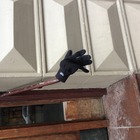 A single glove lost at Frederiksberg Allé