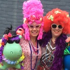 Help ons onze groene Henk terug te vinden